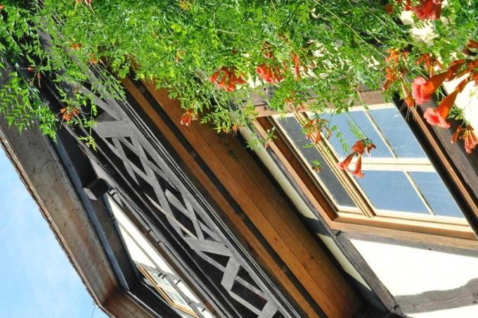 Gaestezimmer - Fuhrhalterei Maul Breuberg Exterior foto